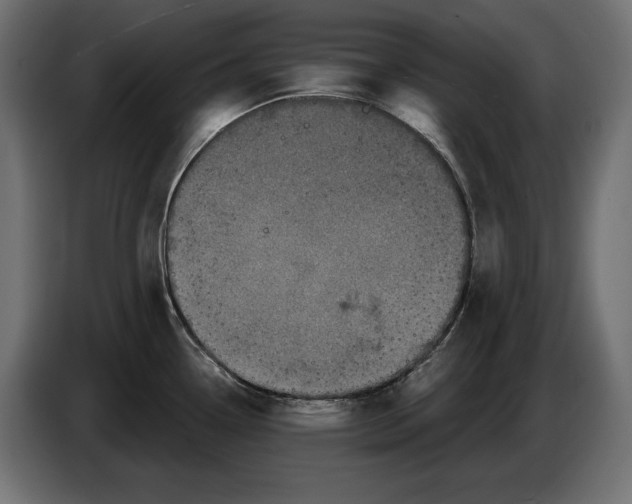 X0000086101338200704132139