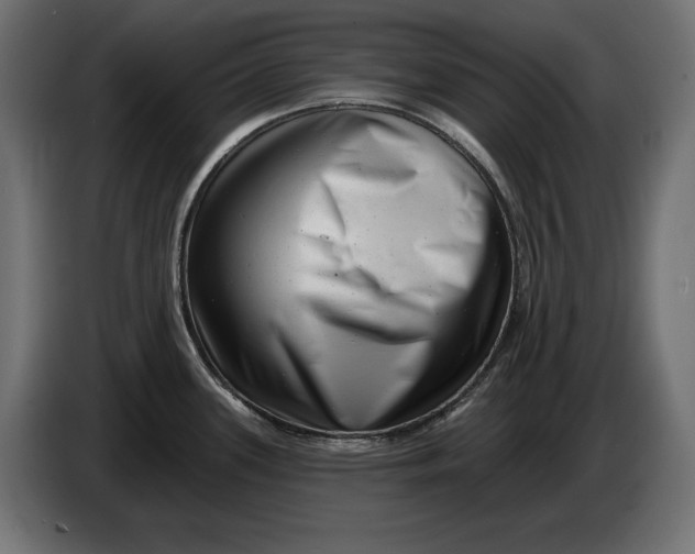 X0000086101339200704132139