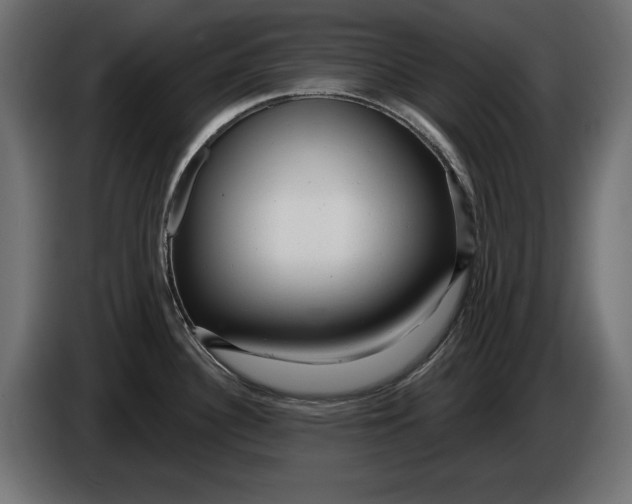 X0000086101340200704132139