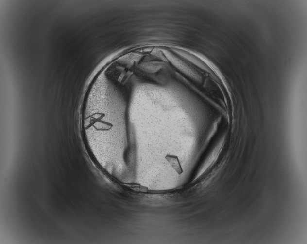 X0000086101341200704132139