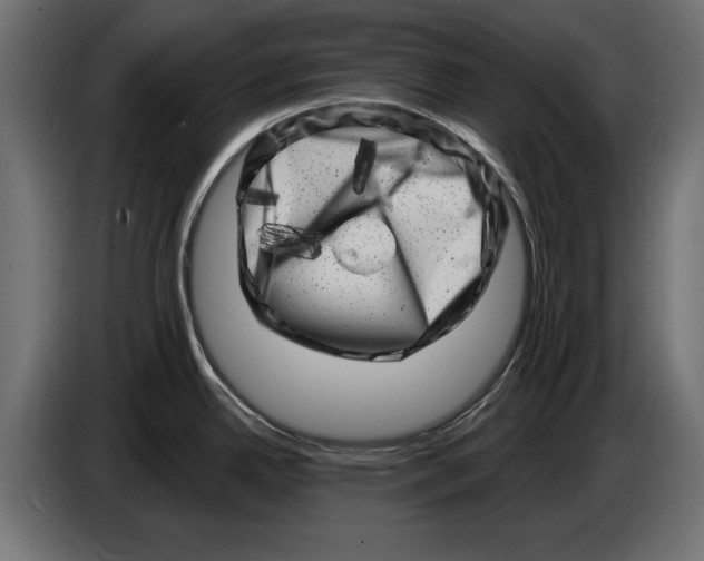 X0000086101342200704132139