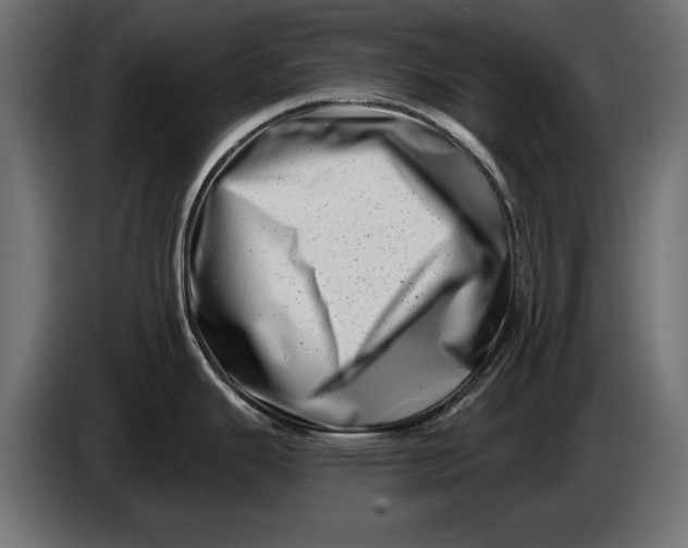 X0000086101343200704132139