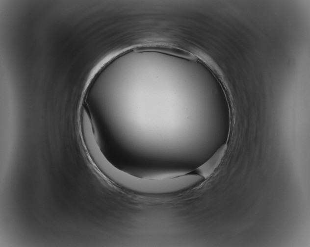X0000086101344200704132139
