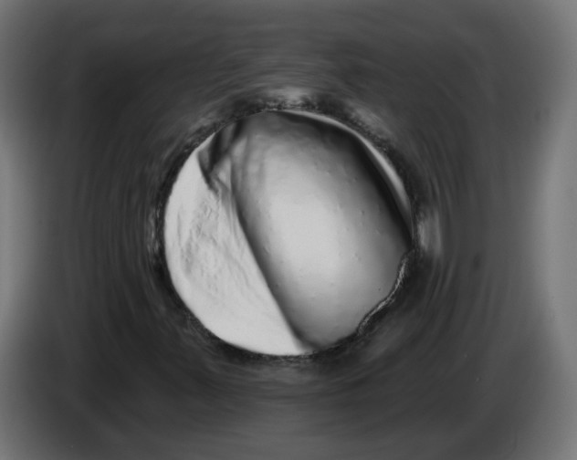 X0000086101347200704132138