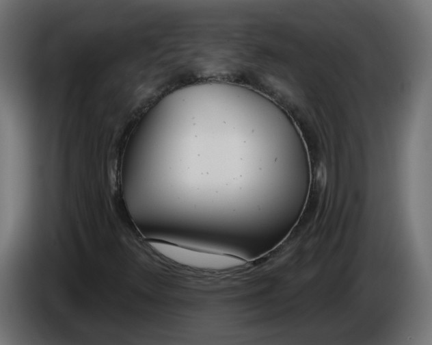 X0000086101348200704132138
