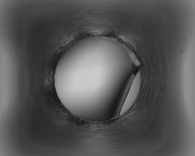 X0000086101349200704132138