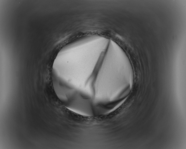 X0000086101350200704132138