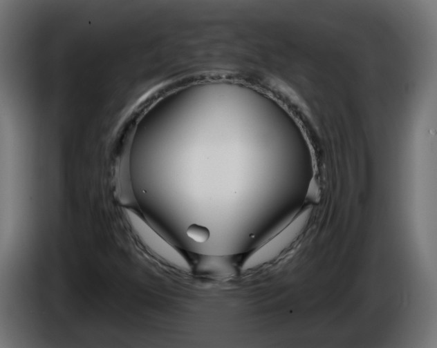 X0000086101352200704132138