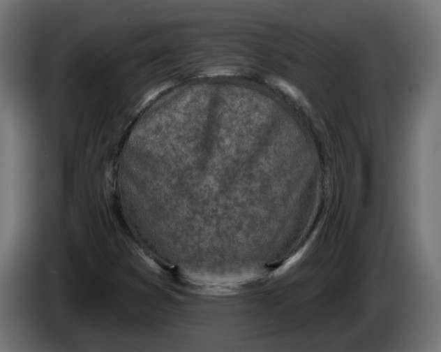 X0000086101353200704132138