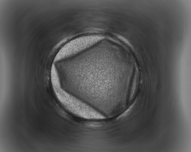 X0000086101355200704132138