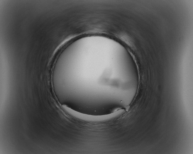 X0000086101356200704132138