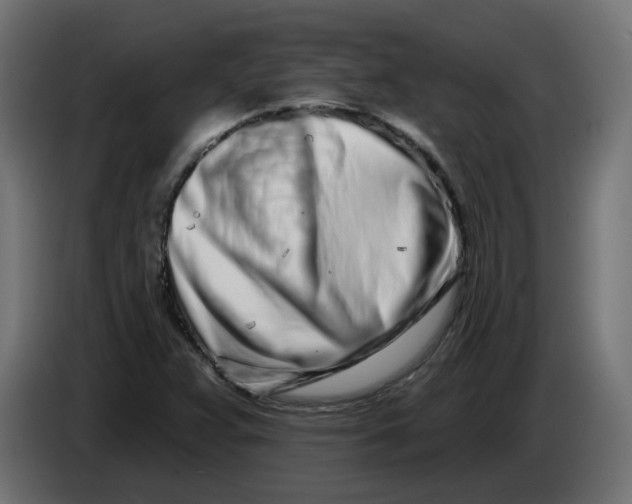 X0000086101359200704132138