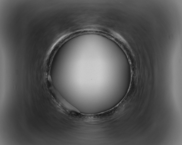 X0000086101360200704132138