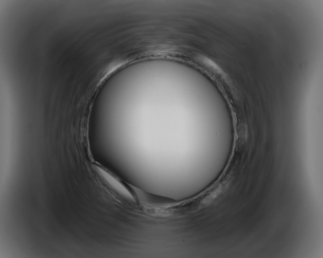 X0000086101361200704132138