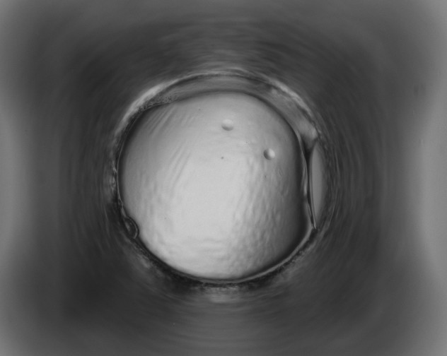 X0000086101363200704132138