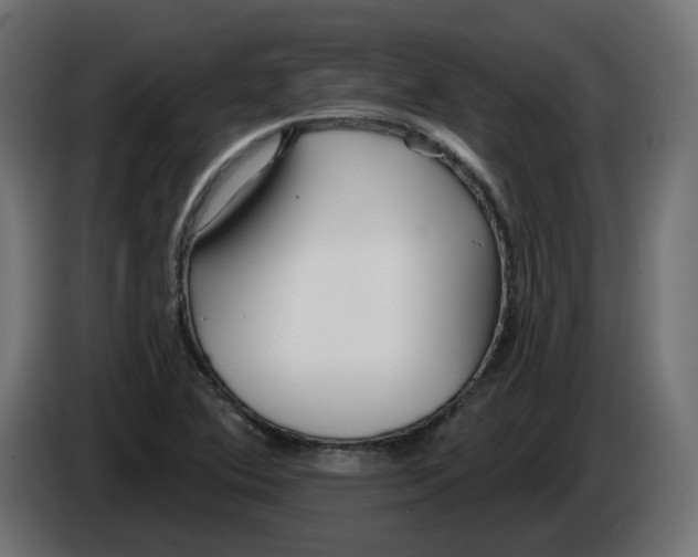 X0000086101364200704132138