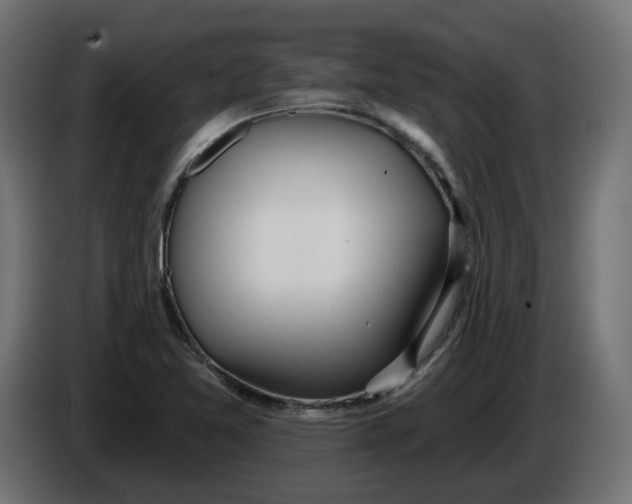 X0000086101365200704132138