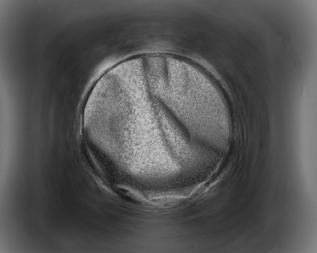 X0000086101366200704132138