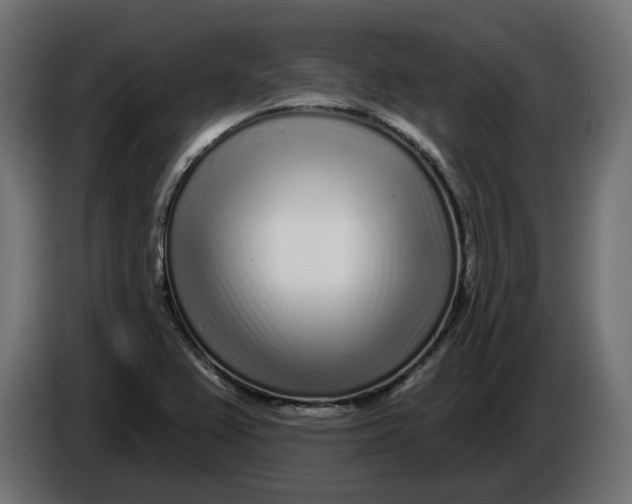 X0000086101367200704132138