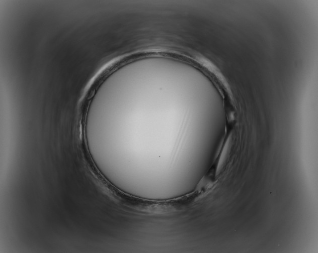 X0000086101368200704132138