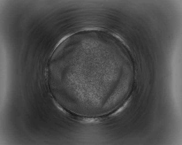 X0000086101369200704132138