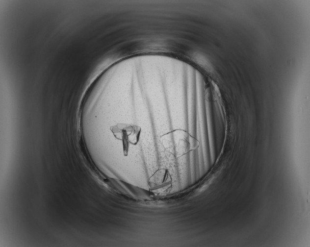 X0000086101370200704132138