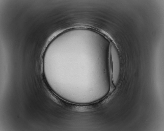 X0000086101371200704132138