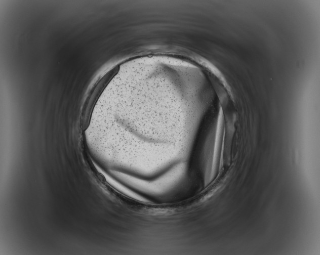 X0000086101373200704132138