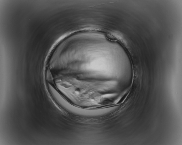X0000086101375200704132138