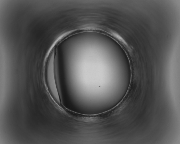 X0000086101376200704132138