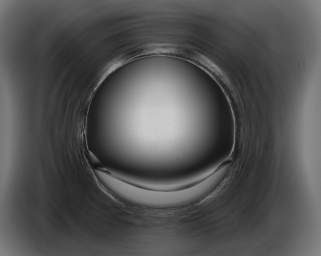 X0000086101377200704132138