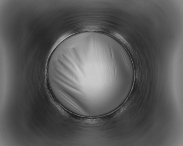 X0000086101378200704132138