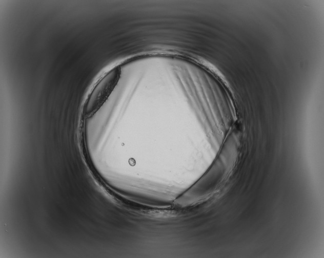 X0000086101379200704132138
