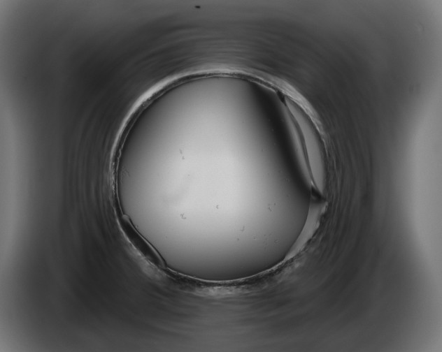 X0000086101380200704132138