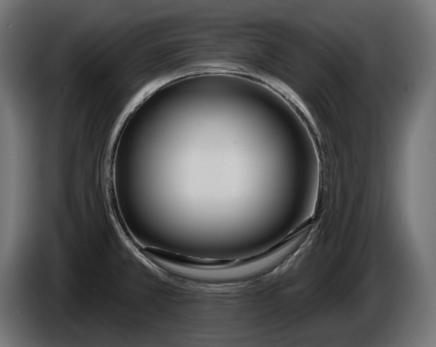 X0000086101381200704132138