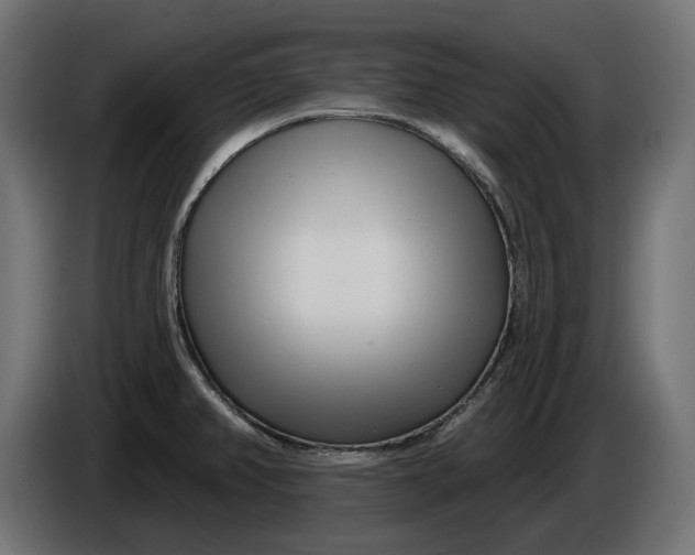 X0000086101382200704132138