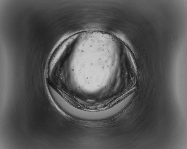 X0000086101383200704132138