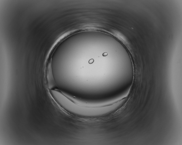 X0000086101384200704132138