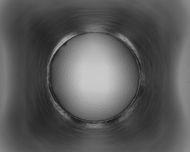 X0000086101386200704132138