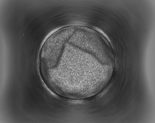 X0000086101387200704132138