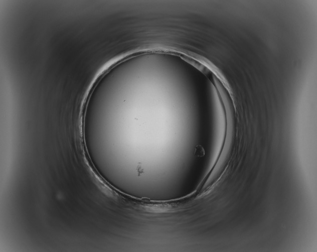 X0000086101388200704132138