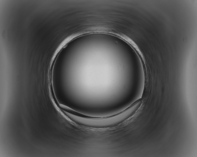 X0000086101389200704132138