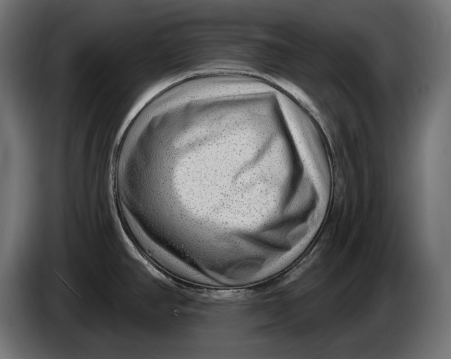 X0000086101390200704132138