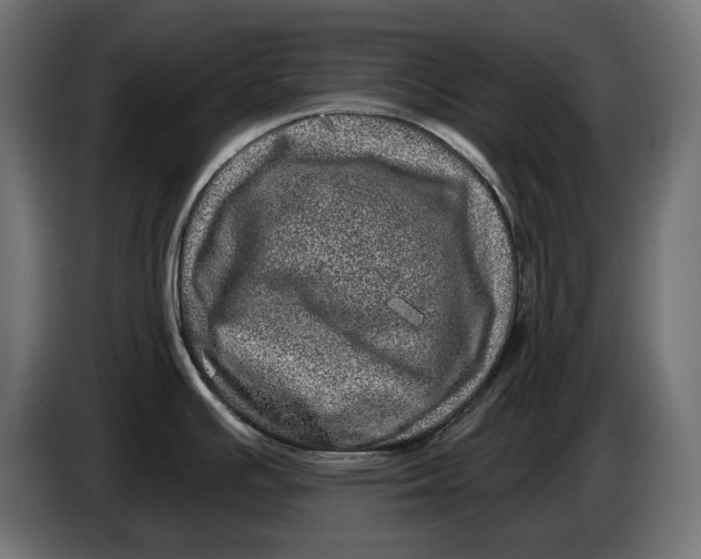 X0000086101391200704132138