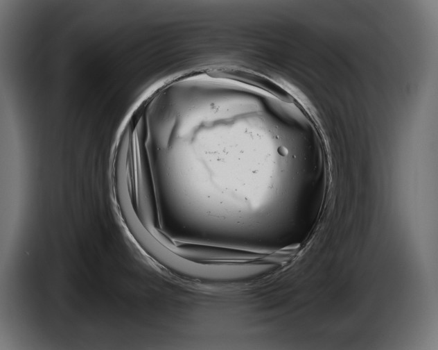 X0000086101392200704132138