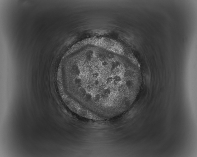 X0000086101393200704132137