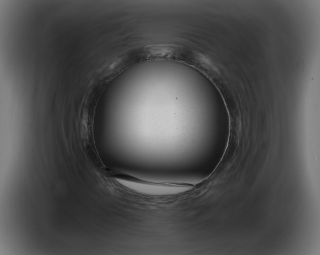 X0000086101394200704132137