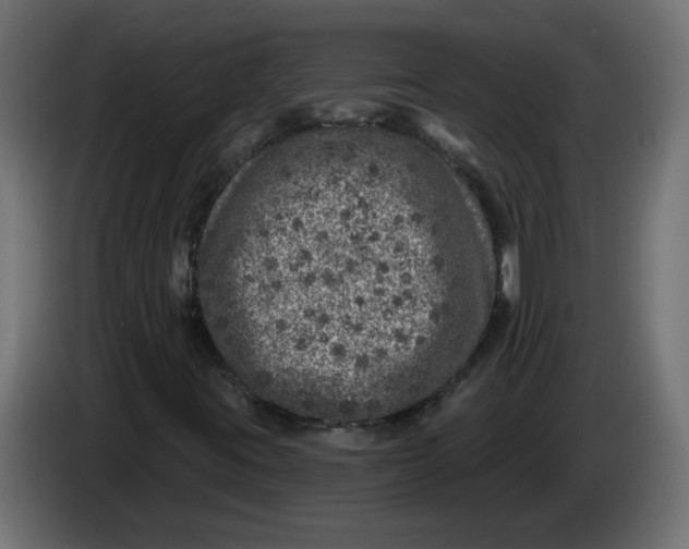 X0000086101395200704132137