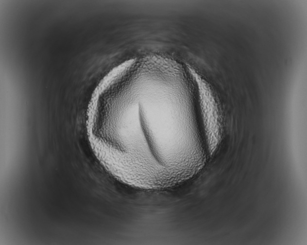X0000086101397200704132137
