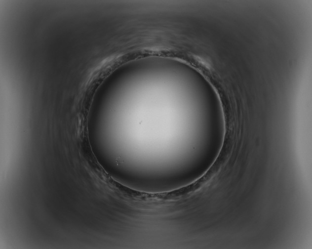 X0000086101398200704132137